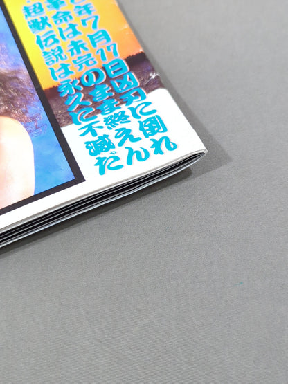 Gong Special Issue ~Bruiser Brody  Memorial Issue~