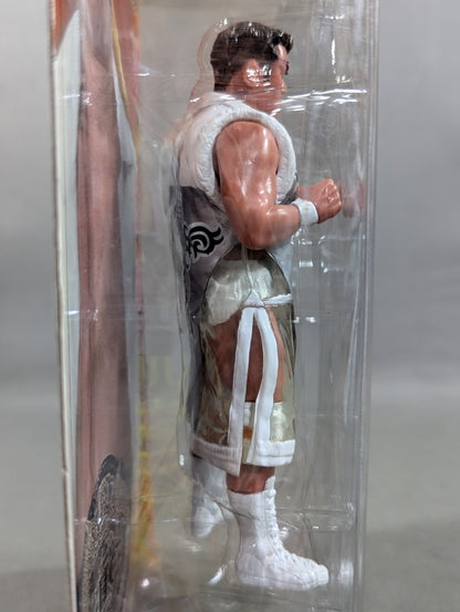 Jun Akiyama (White Gown Fighting Pose)