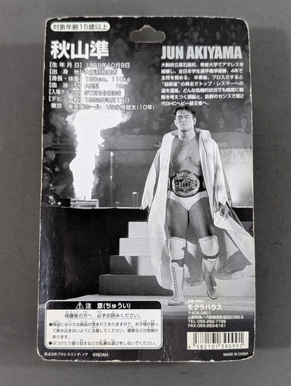 Jun Akiyama (White Gown Fighting Pose)