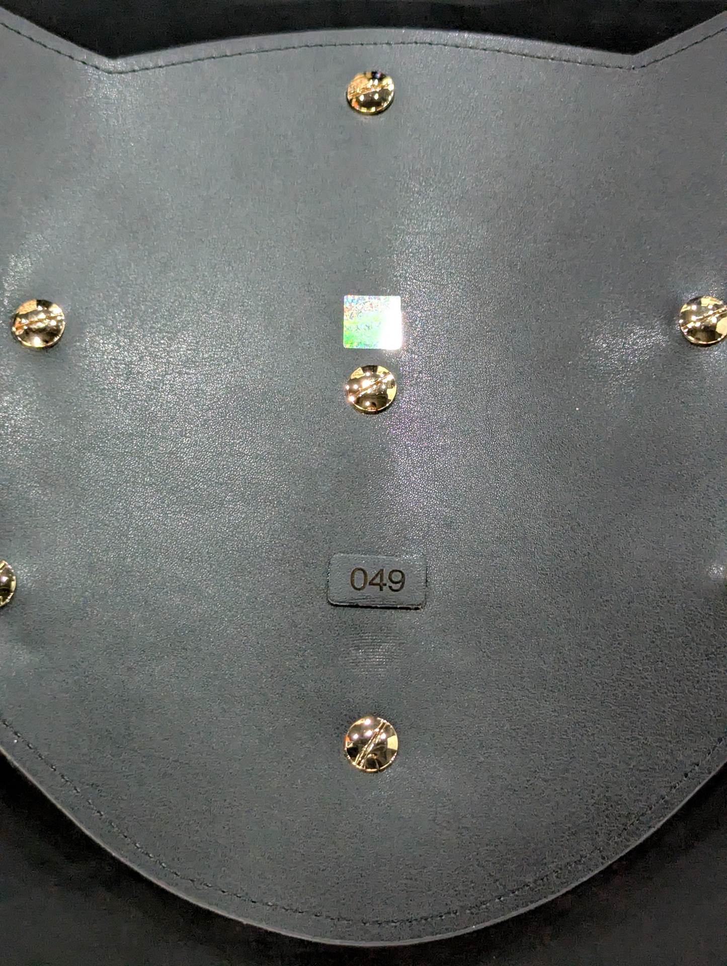 IWGP World Heavy Weight Championship Belt