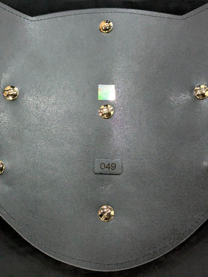 IWGP World Heavy Weight Championship Belt