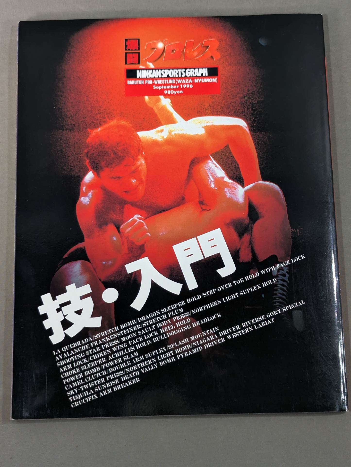 Pro Wrestling  Techniques and Introduction