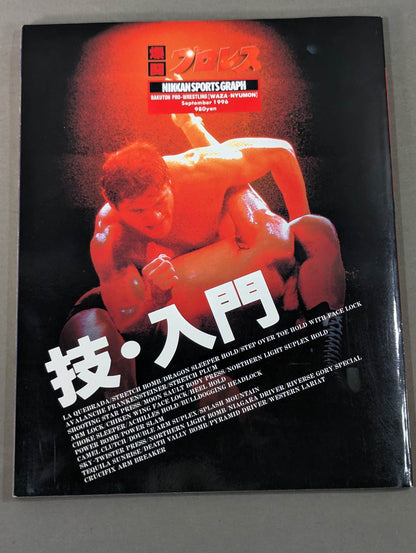 Pro Wrestling  Techniques and Introduction