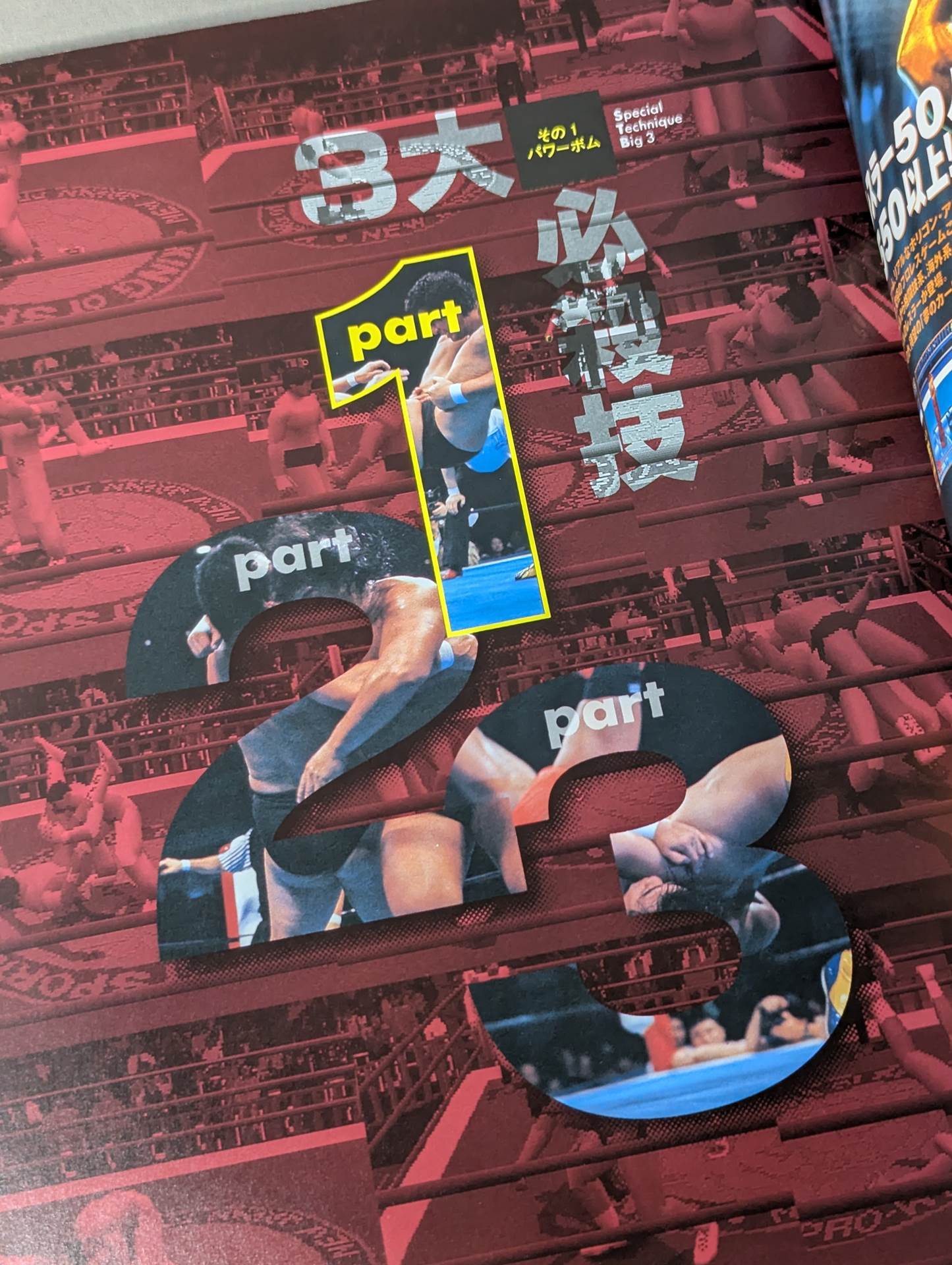 Pro Wrestling  Techniques and Introduction