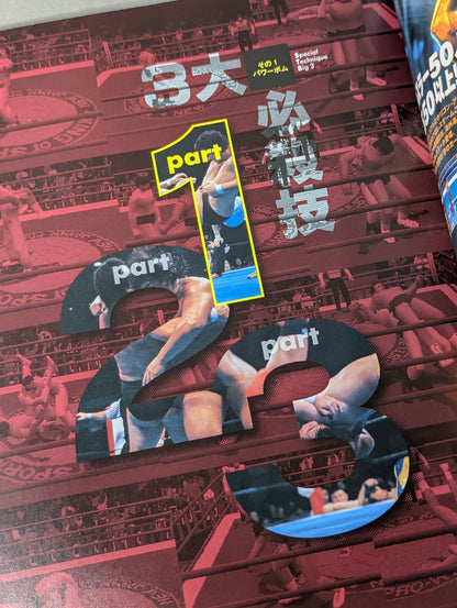 Pro Wrestling  Techniques and Introduction