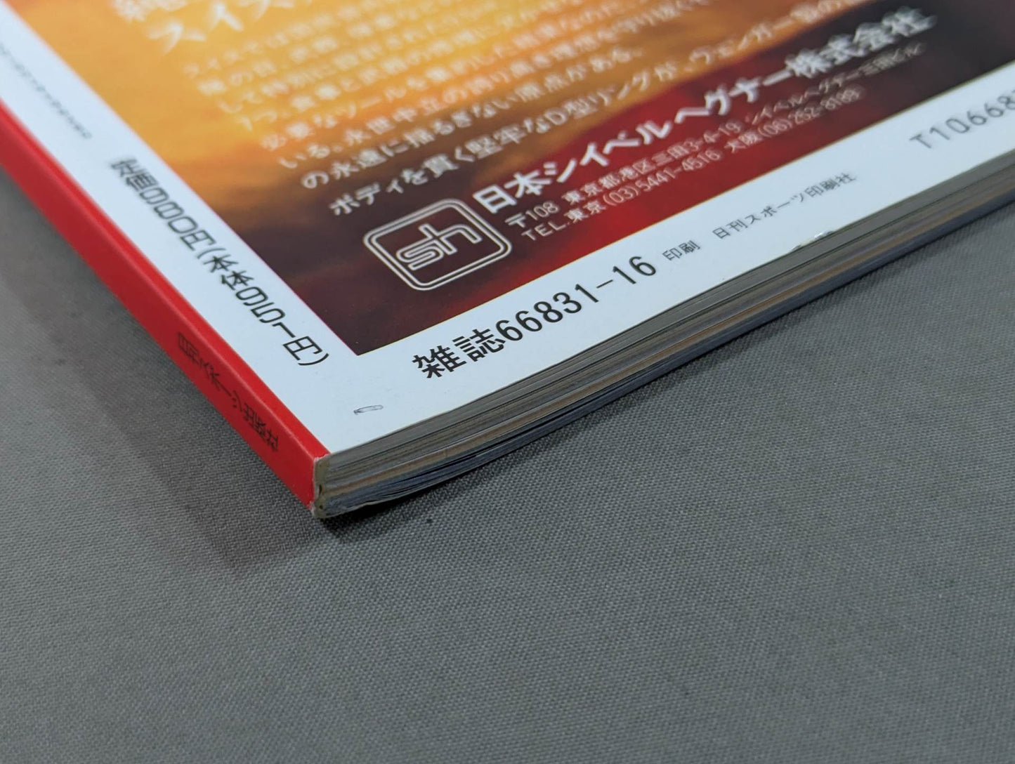 Pro Wrestling  Techniques and Introduction