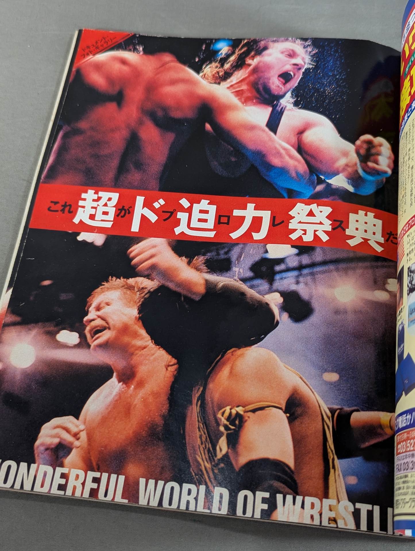 Radical Pro Wrestling  New Era Magazine Vol.1 Super Pro Wrestling 