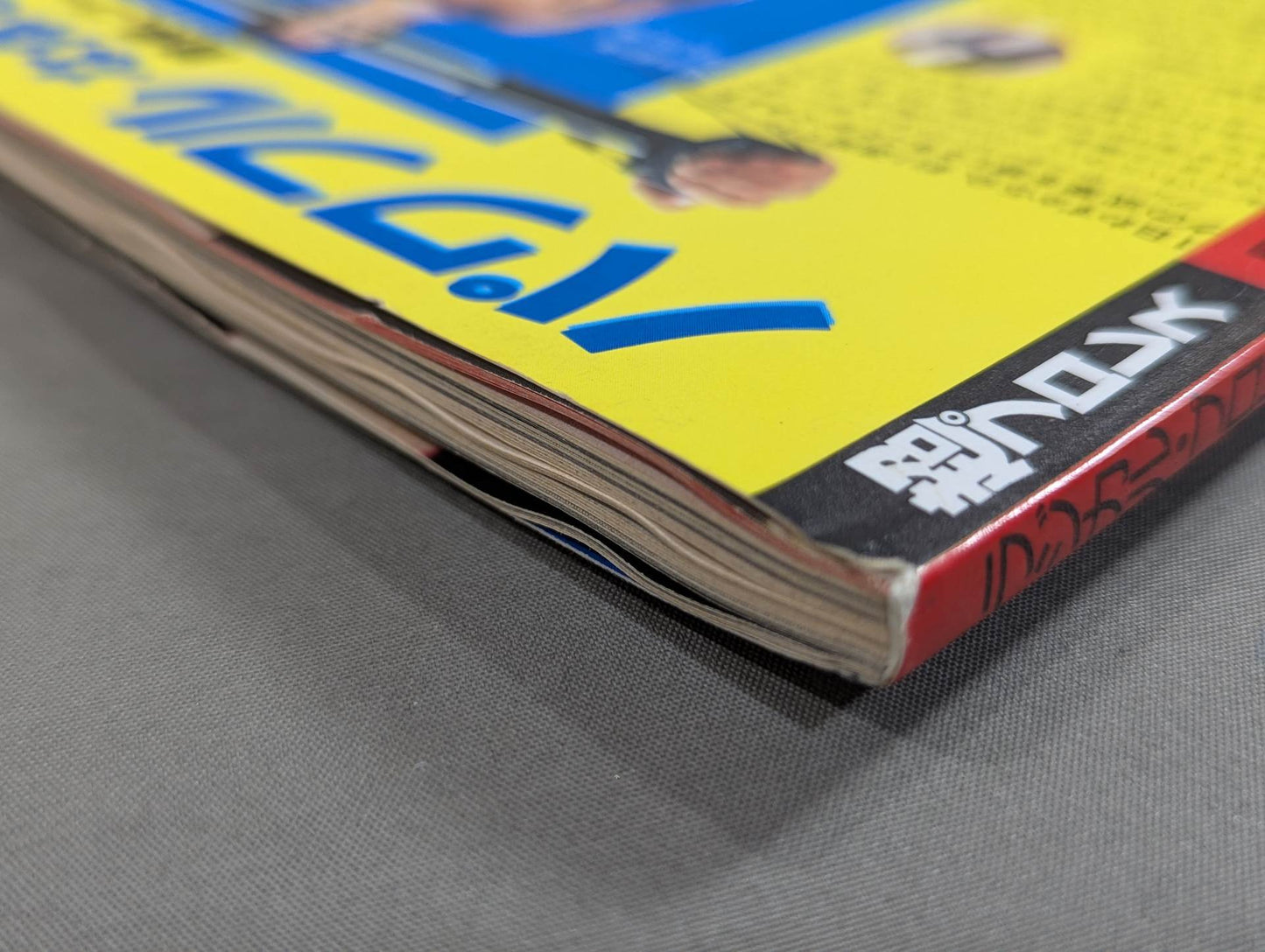 Radical Pro Wrestling  New Era Magazine Vol.1 Super Pro Wrestling 