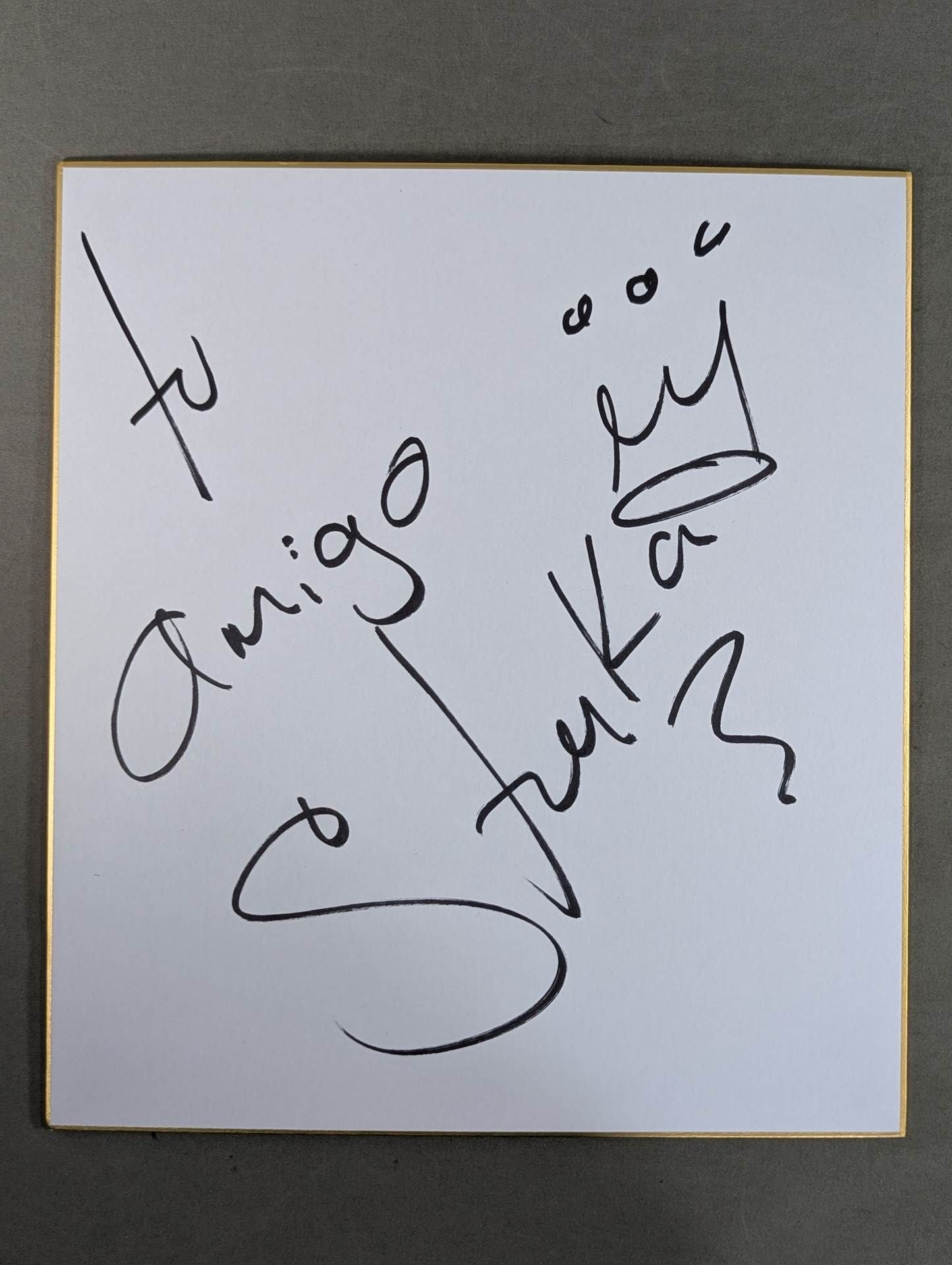 ストゥーカ・ジュニア