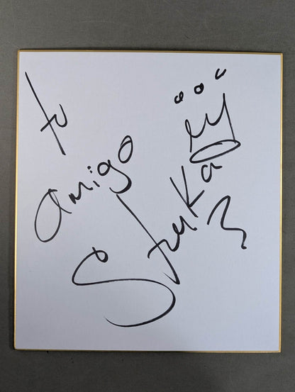 ストゥーカ・ジュニア