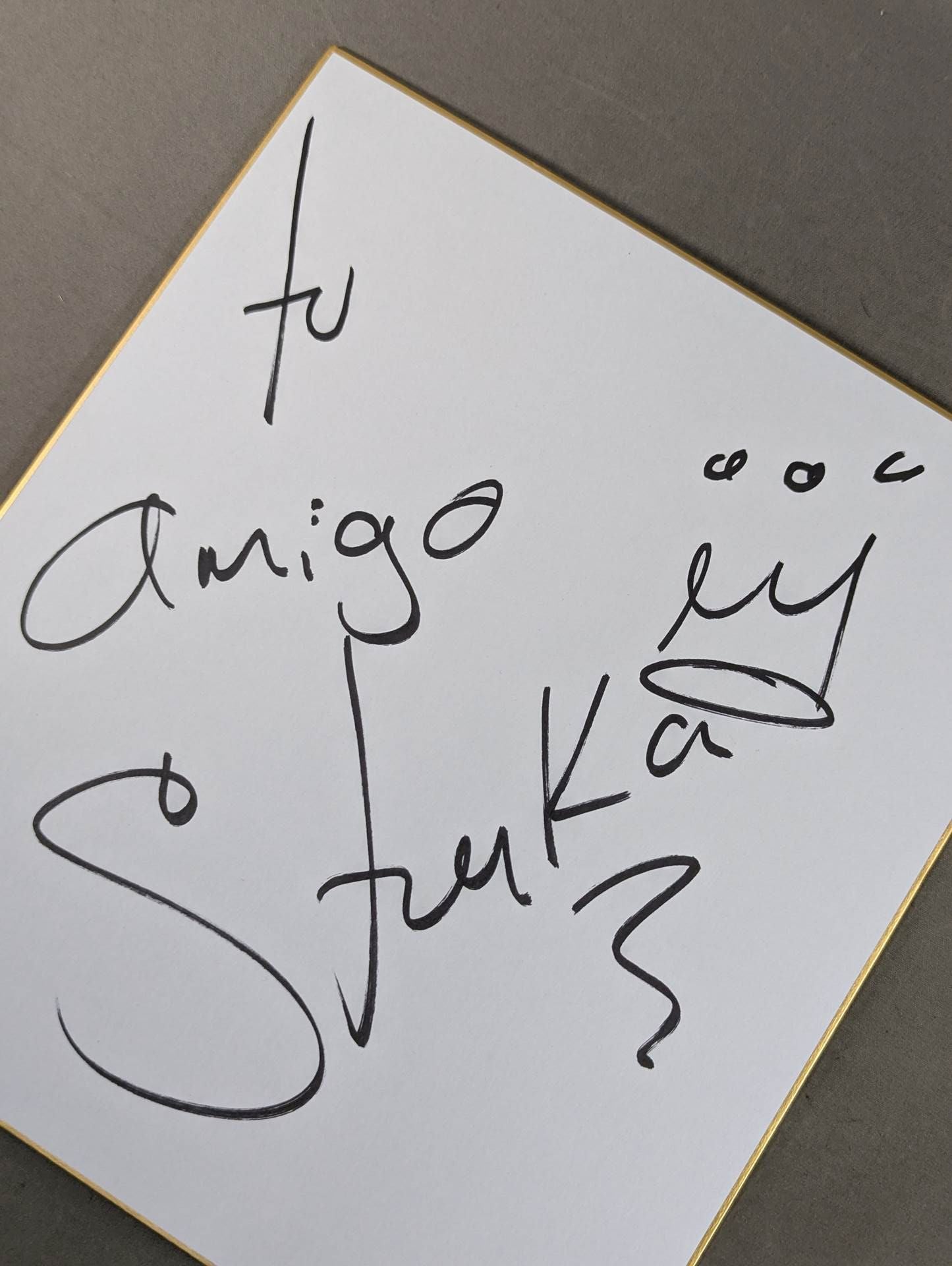 ストゥーカ・ジュニア