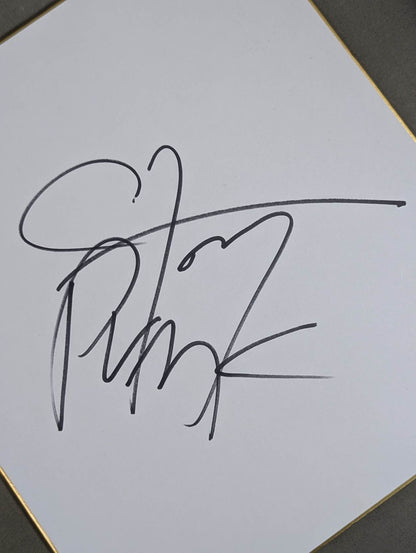 CMパンク(生写真付)