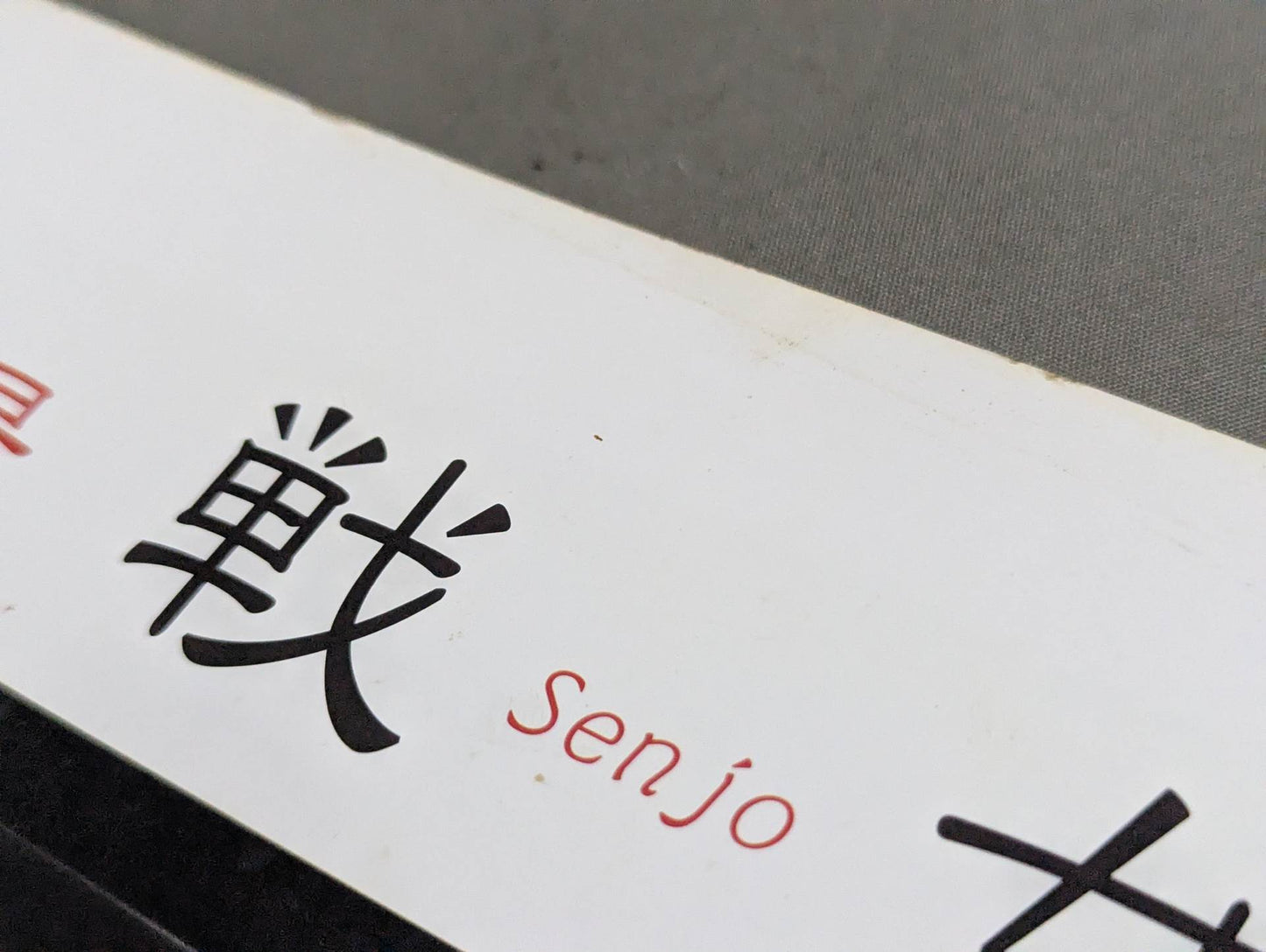 Sendai Girls Pro-wrestling  photo  Collection One-Hit Must-Take Senjo 2020 fairy struggle story that challenged the corona disaster