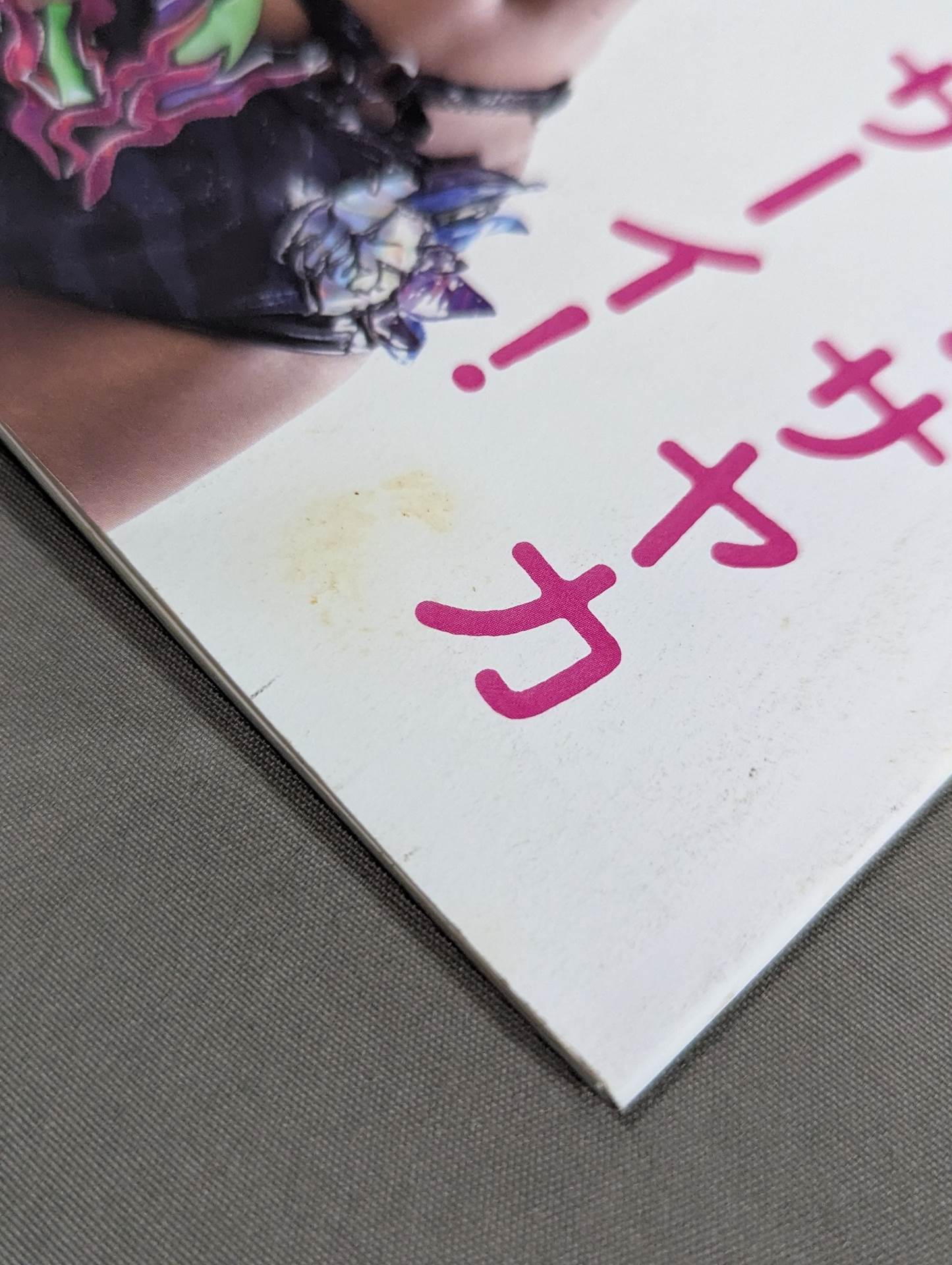 Special issue UNAGI SAYAKA