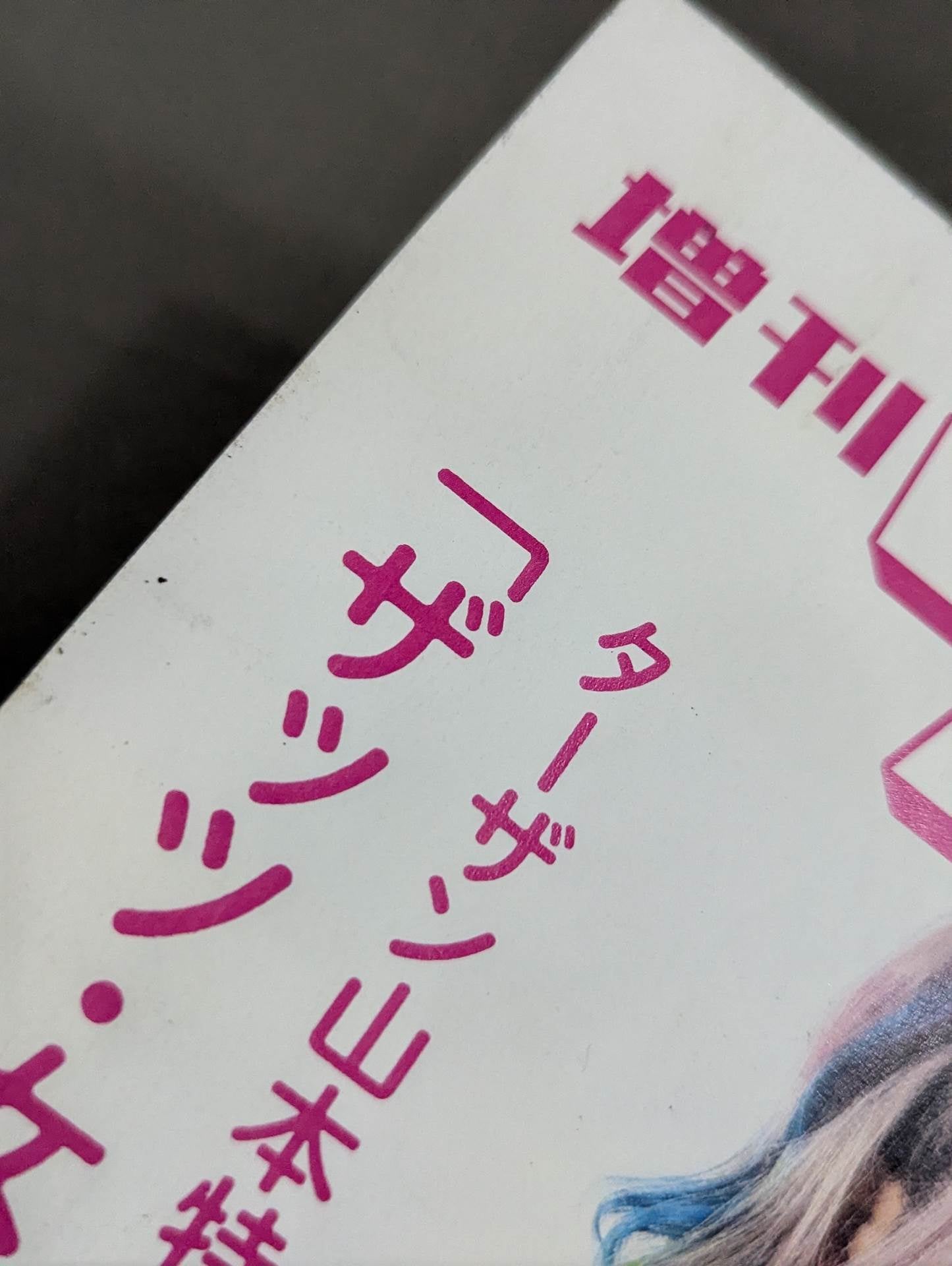 Special issue UNAGI SAYAKA