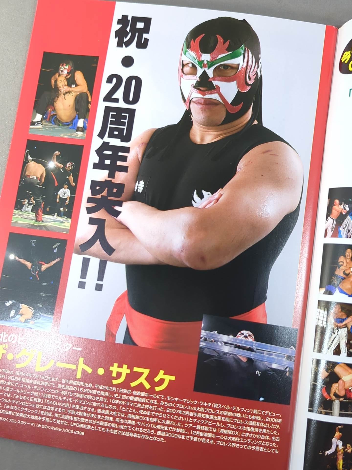 みちのくプロレス オフィシャル・パンフレット Vol.125