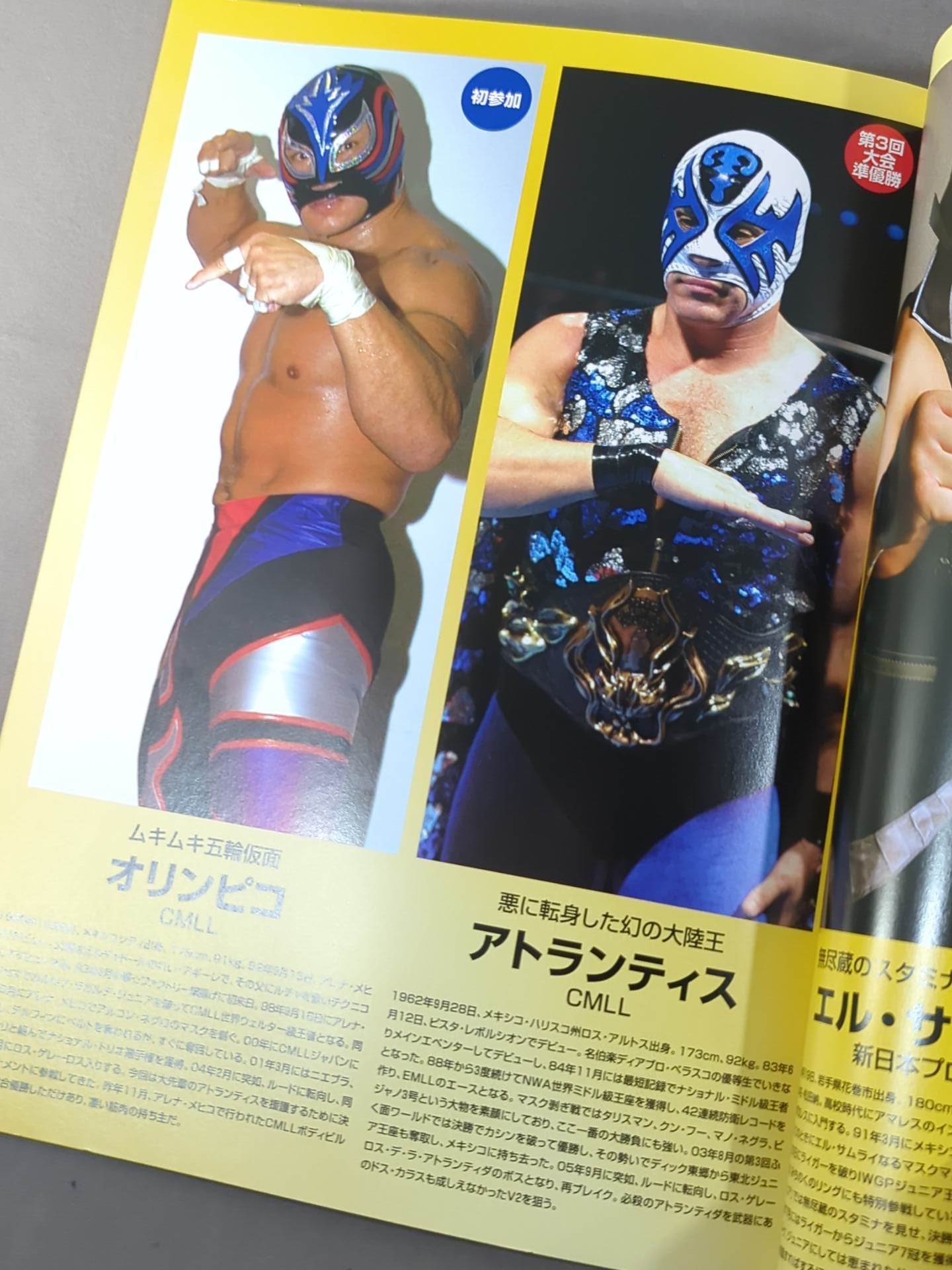 みちのくプロレス / オフィシャルパンフレット Vol.114