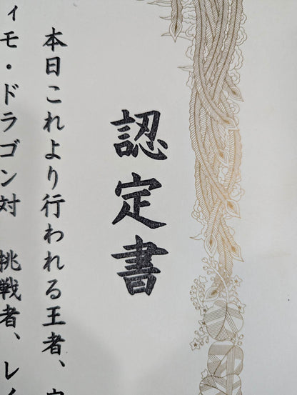 ★ Ultimo Dragon vs. Rey Mysterio Jr ★. 8 Crowns Unified Junior Heavyweight Championship Certificate of fighters right match