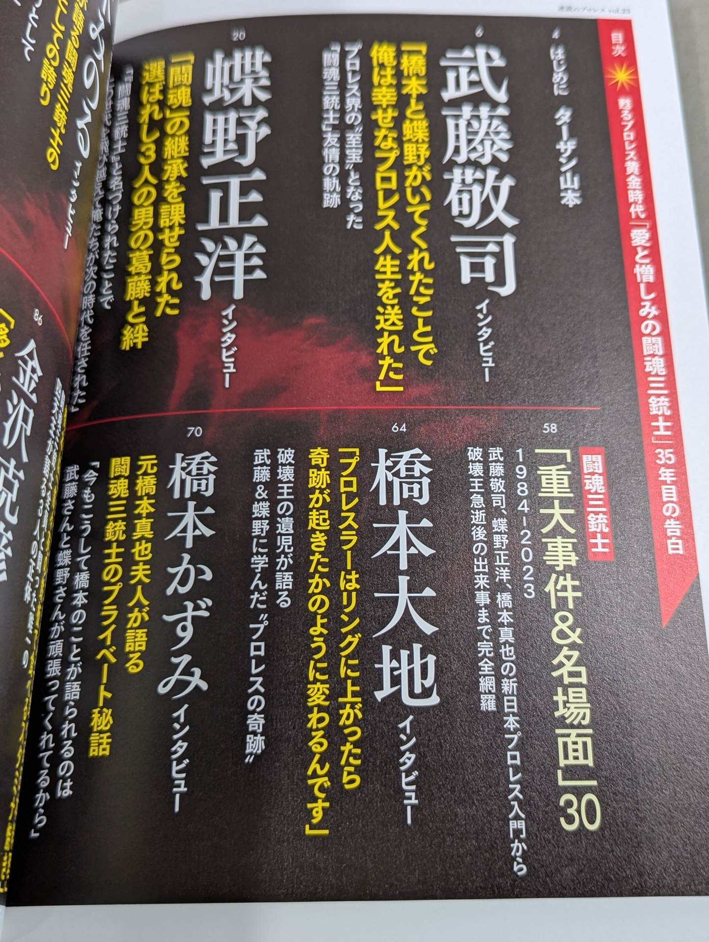 シリーズ 逆説のプロレス Vol.23 甦る黄金時代「愛と憎しみの闘魂三銃士」35年目の告白