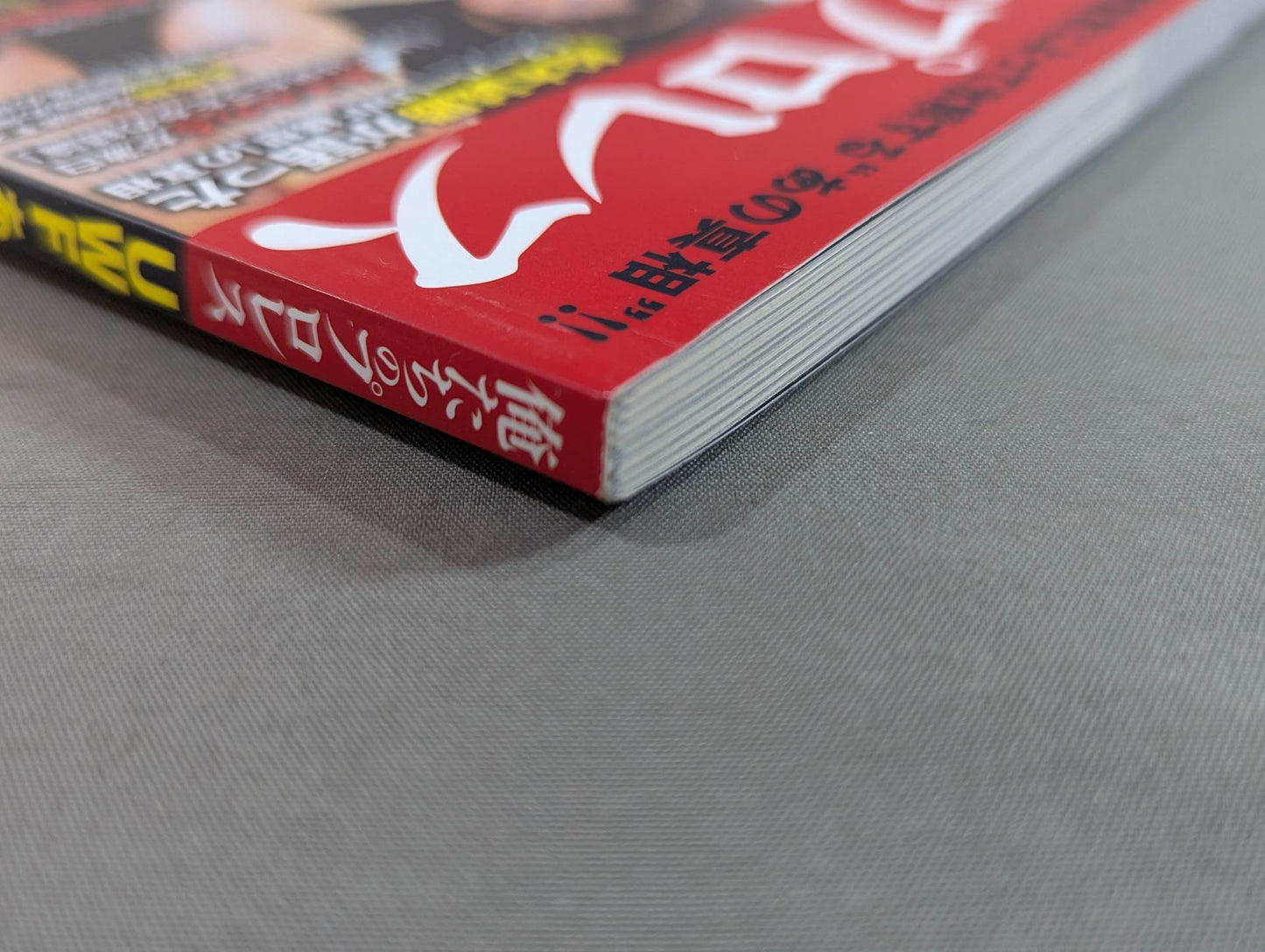 俺たちのプロレス Vol.1 UWFあの頃と今