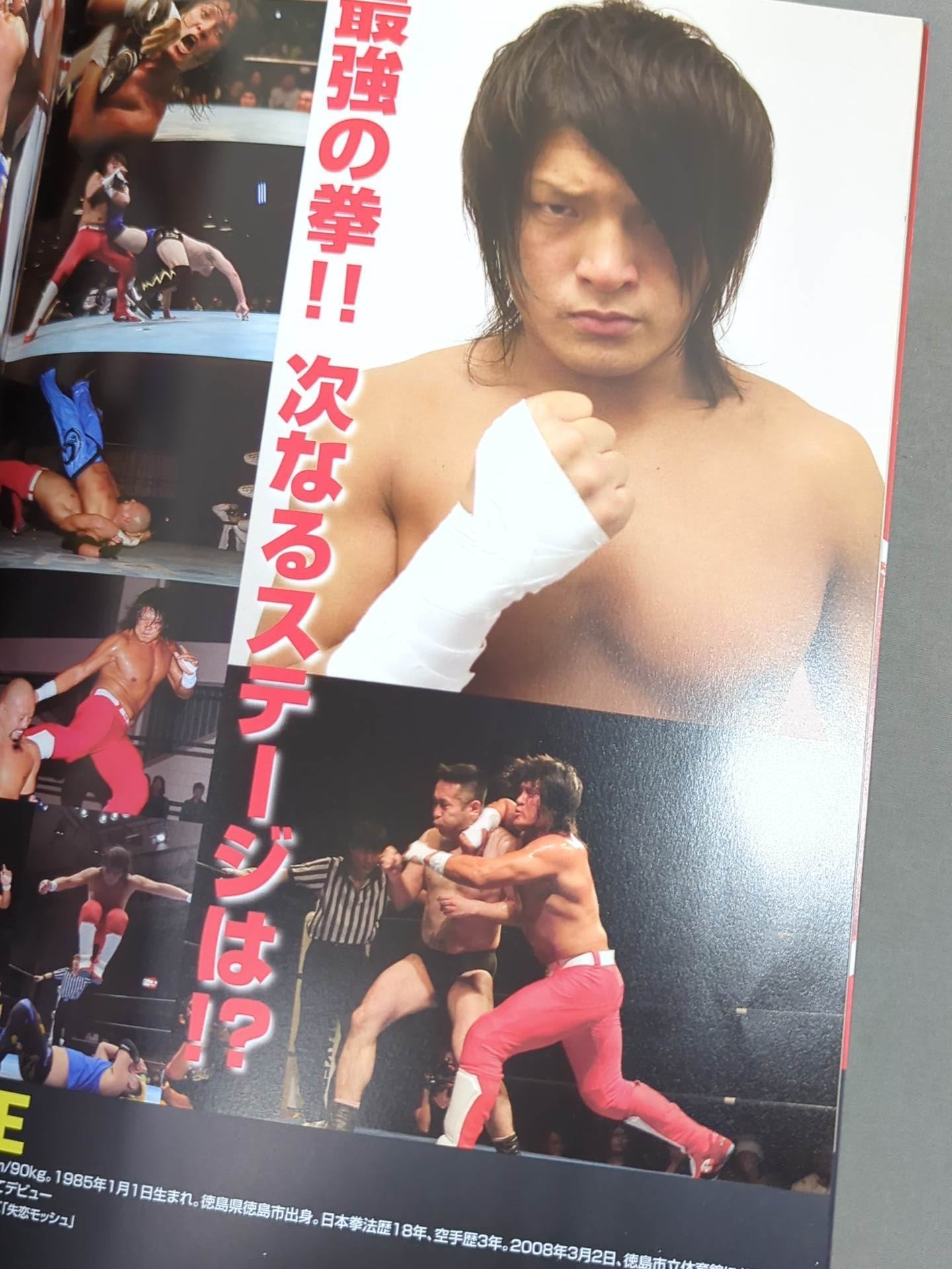 【フジタ"Jr"ハヤト 直筆サイン入り】みちのくプロレス オフィシャルパンフレット Vol.132