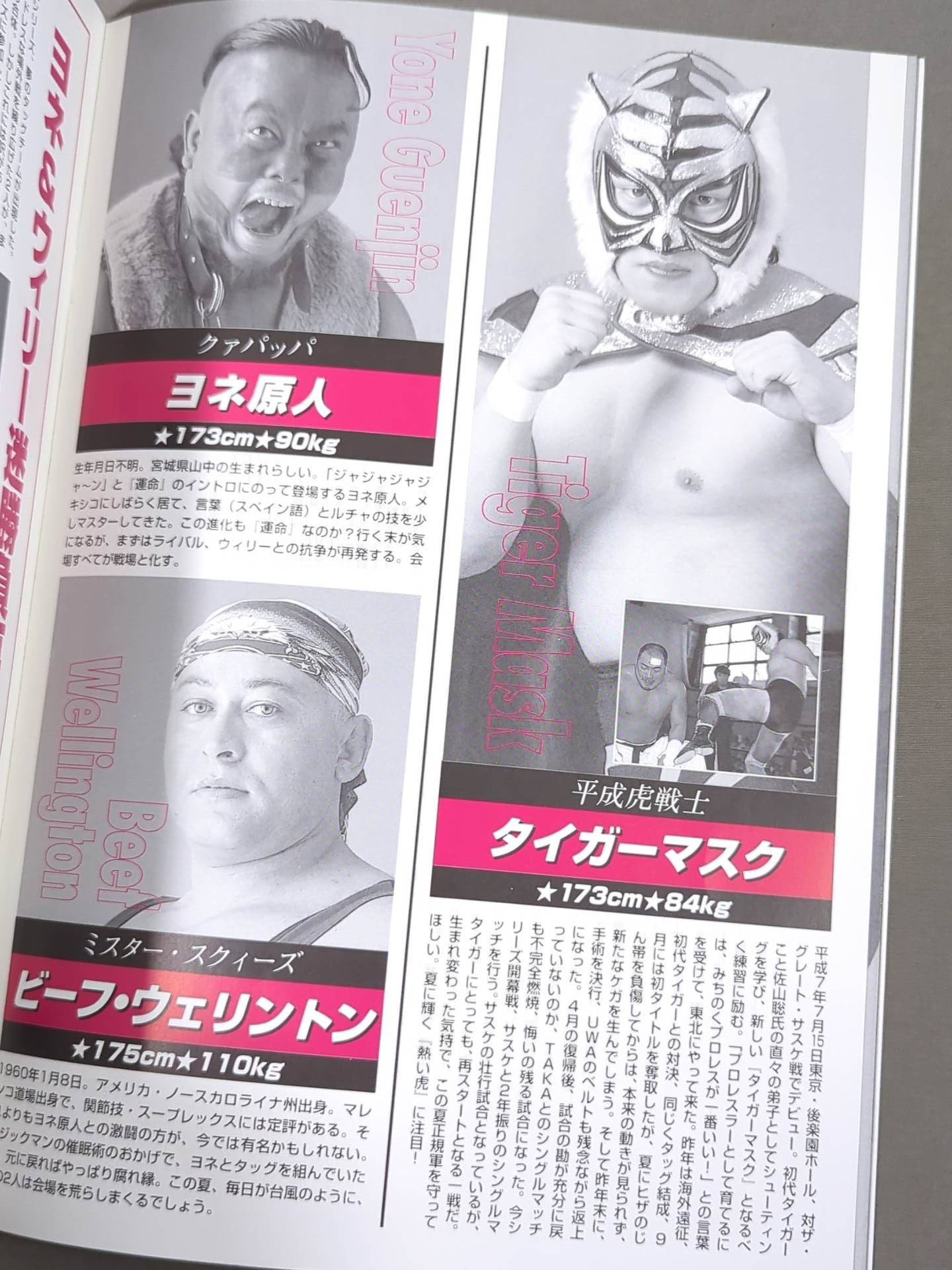 みちのくプロレス オフィシャルパンフレット Vol.31 – 闘道館