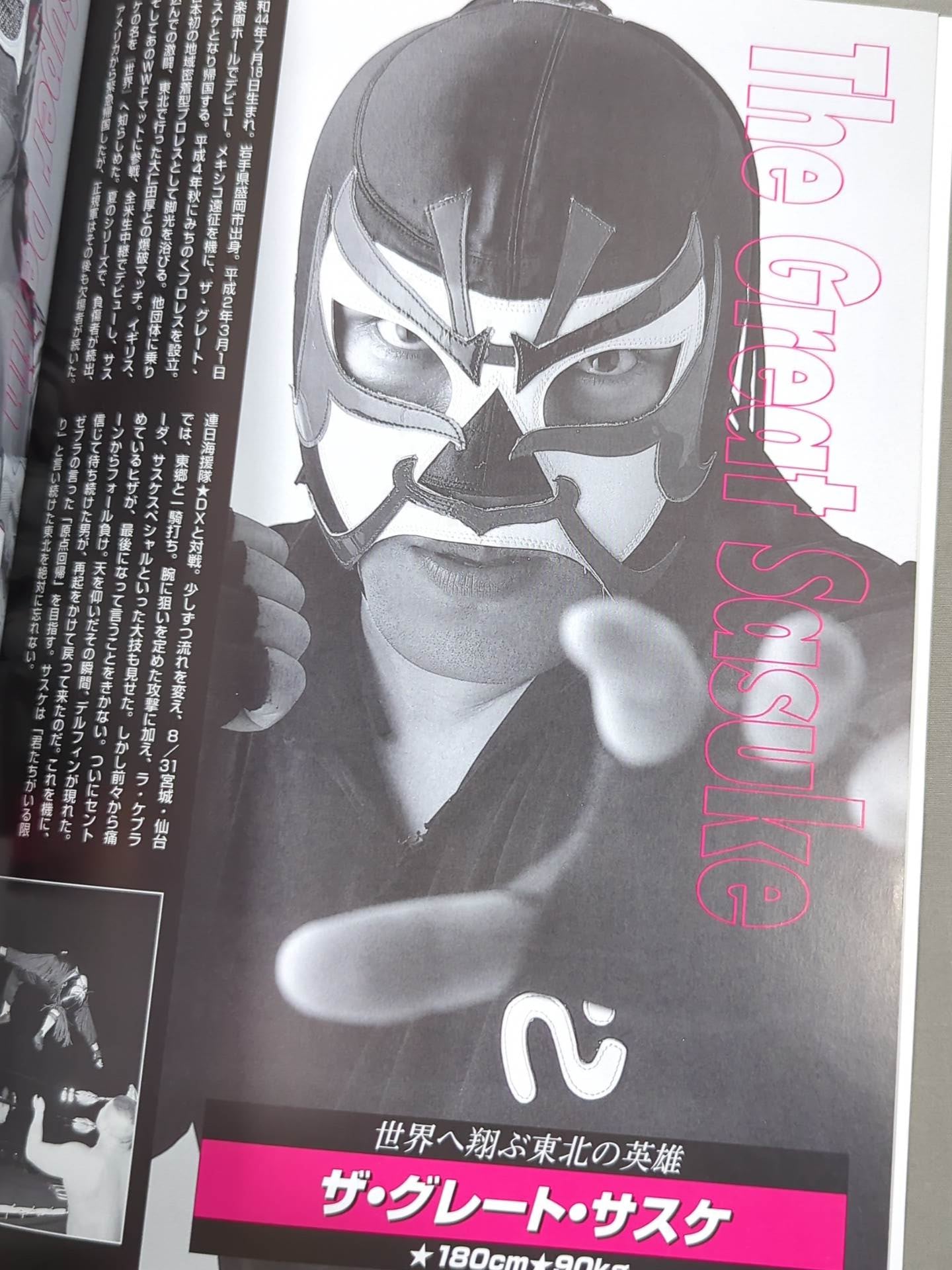 みちのくプロレス オフィシャルパンフレット Vol.33 – 闘道館