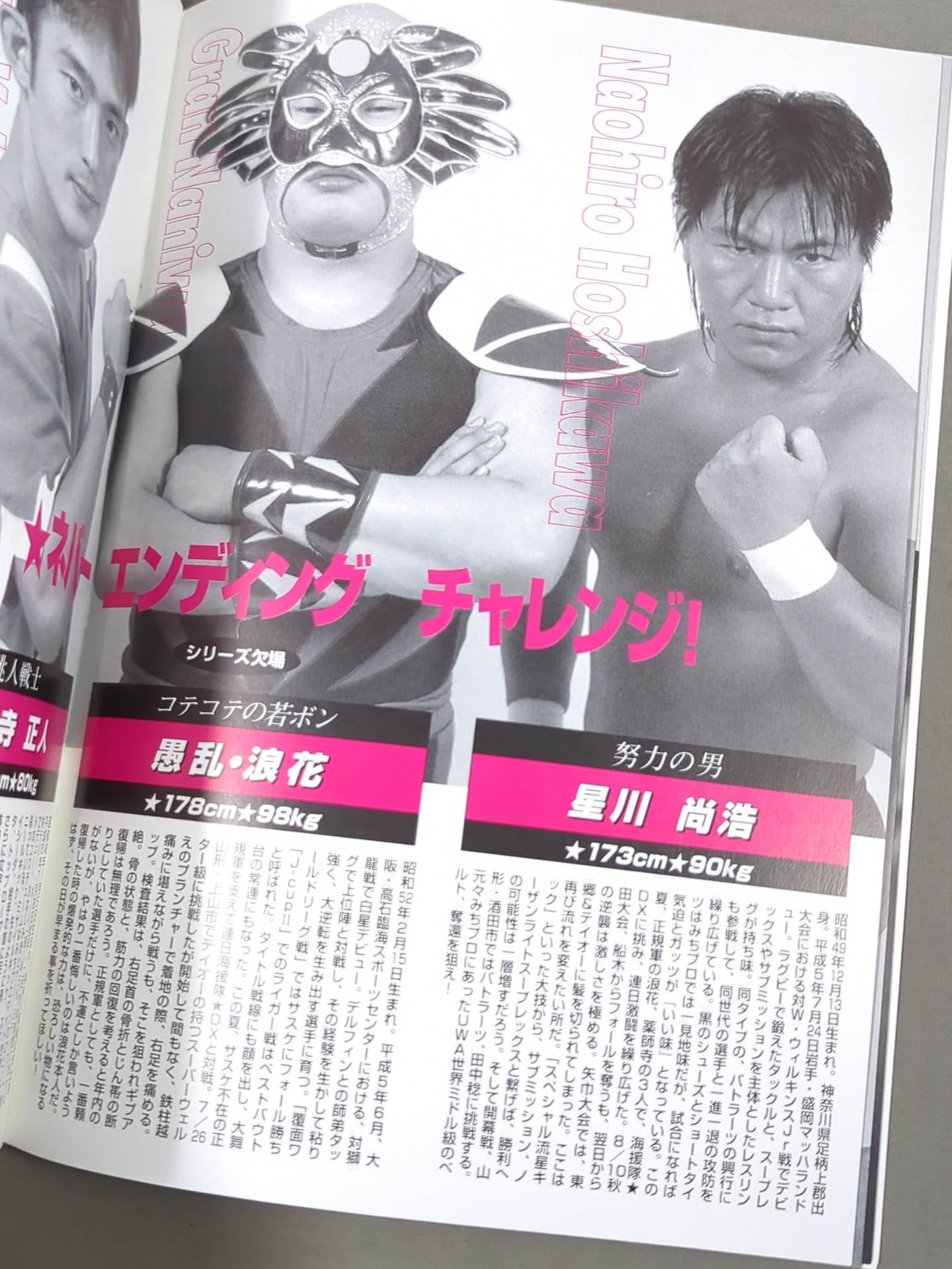 みちのくプロレス オフィシャルパンフレット Vol.33 – 闘道館