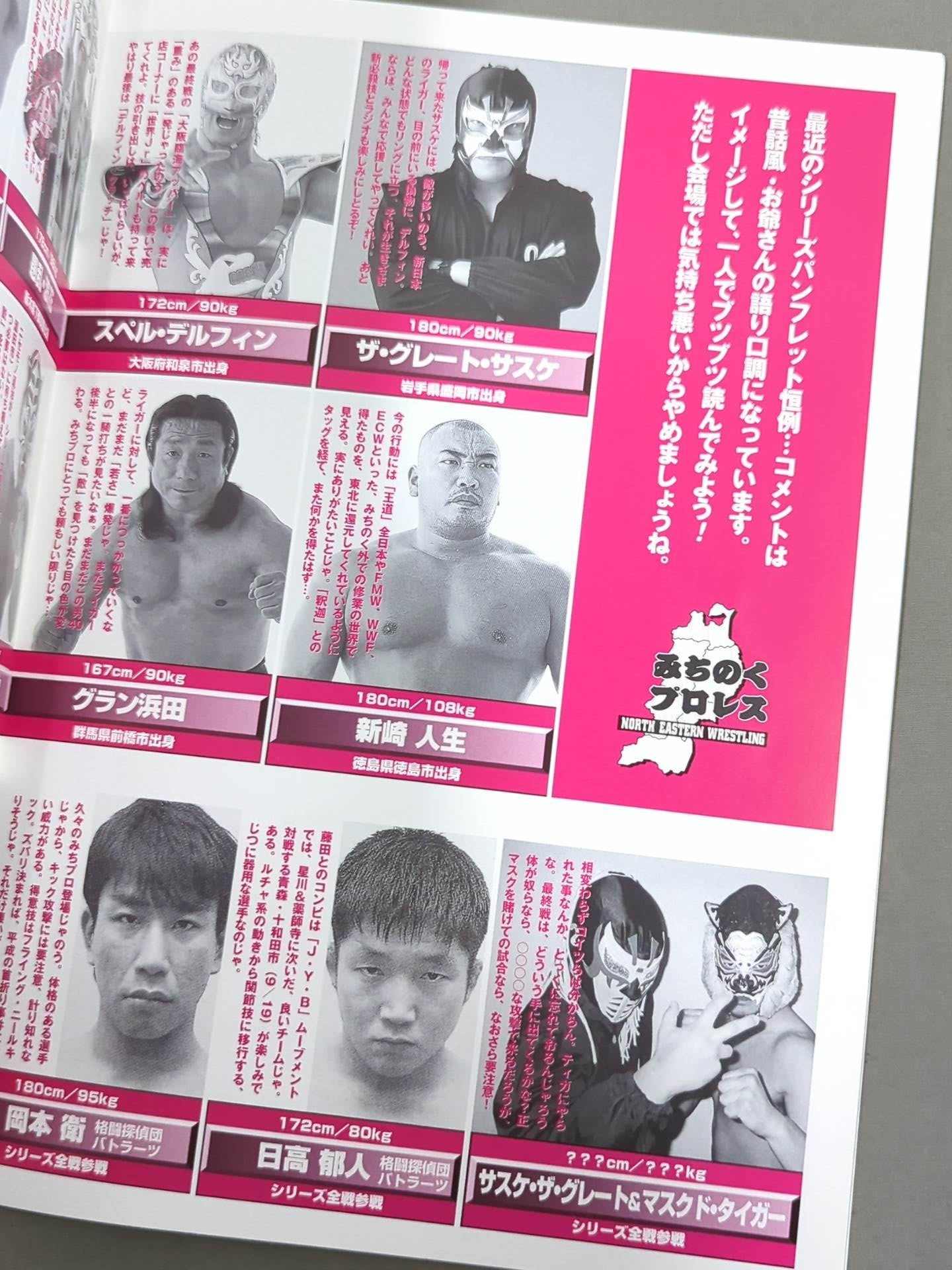 みちのくプロレス オフィシャルパンフレット Vol.44 – 闘道館