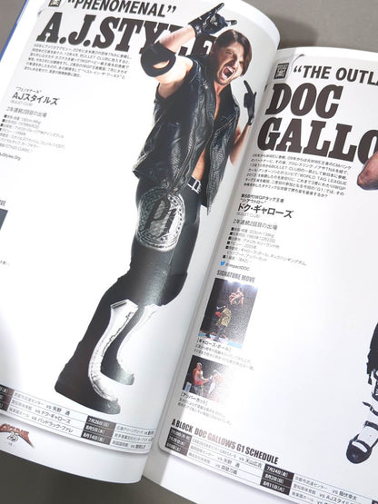 G1 CLIMAX 25 / G1クライマックス25