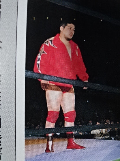 田上明 ★2002年長期実使用!!★