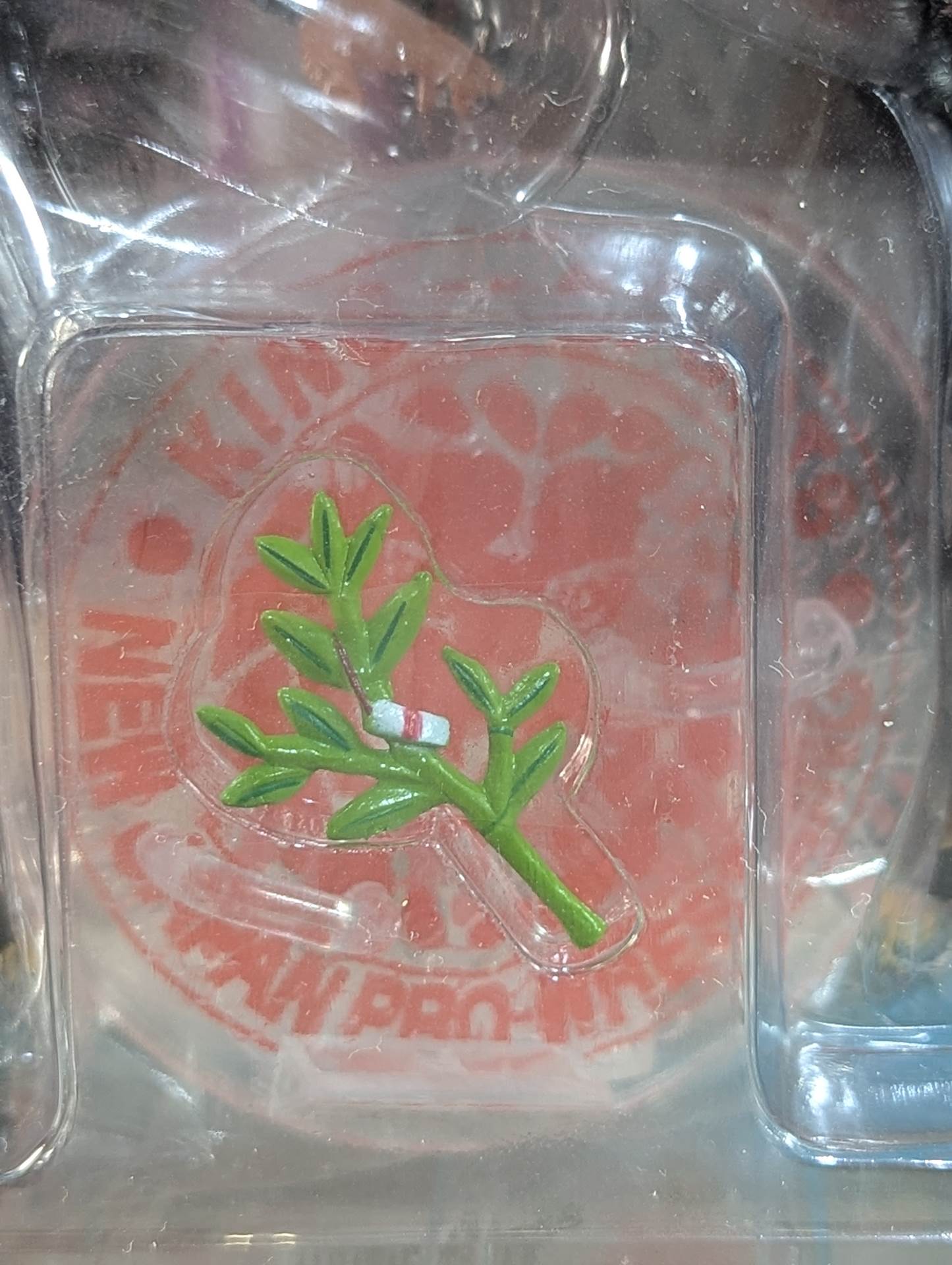 獣神サンダー・ライガーvsえべイガー(黒)