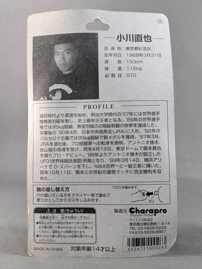 Naoya Ogawa (NWA belt, airplane arm, bronze)