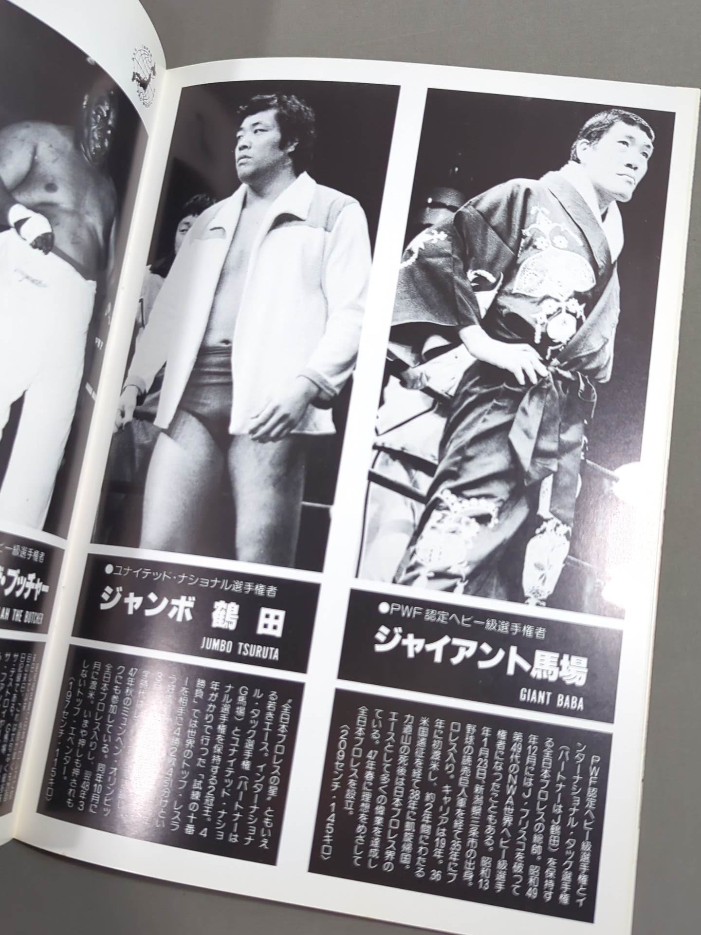 ★プロレス夢のオールスター戦★ 東京スポーツ新聞社創立20周年記念