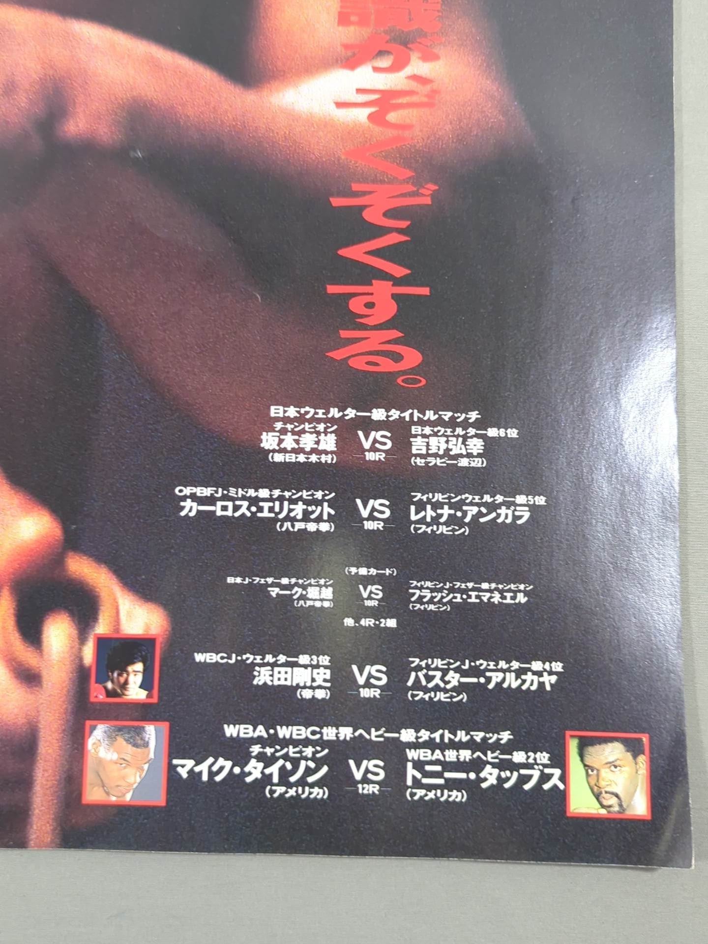 ★統一世界ヘビー級タイトルマッチ★ タイソンvsタッブス