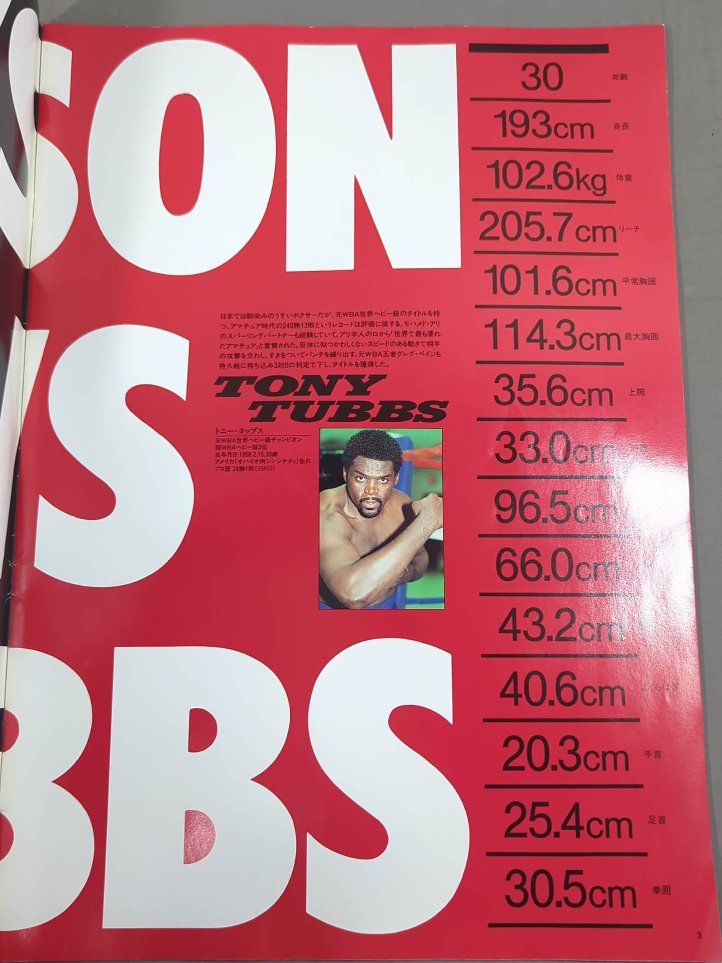 ★統一世界ヘビー級タイトルマッチ★ タイソンvsタッブス