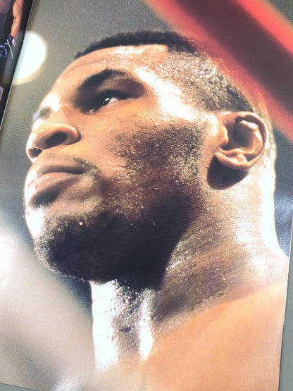 ★統一世界ヘビー級タイトルマッチ★ タイソンvsタッブス