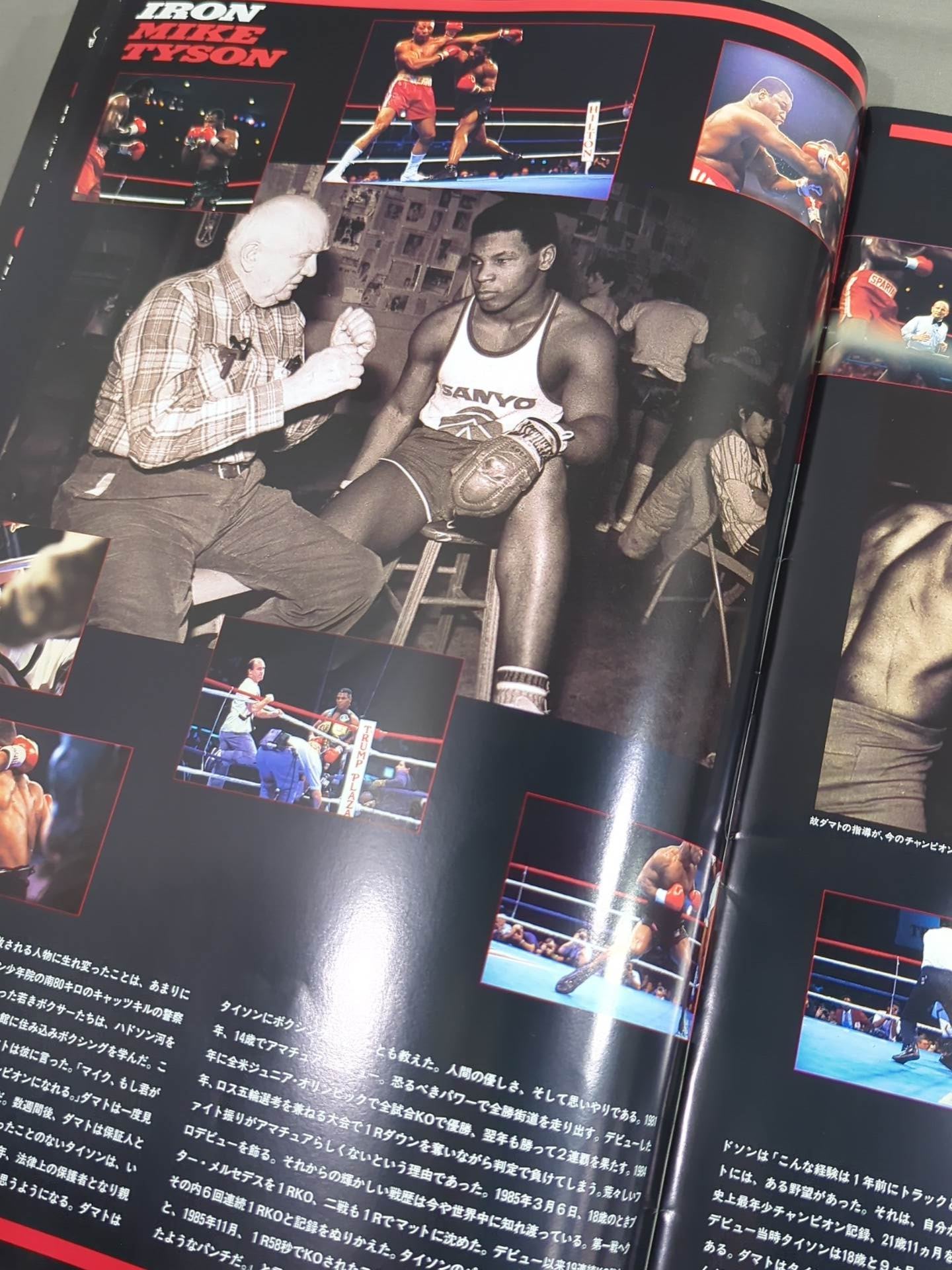 ★統一世界ヘビー級タイトルマッチ★ タイソンvsタッブス