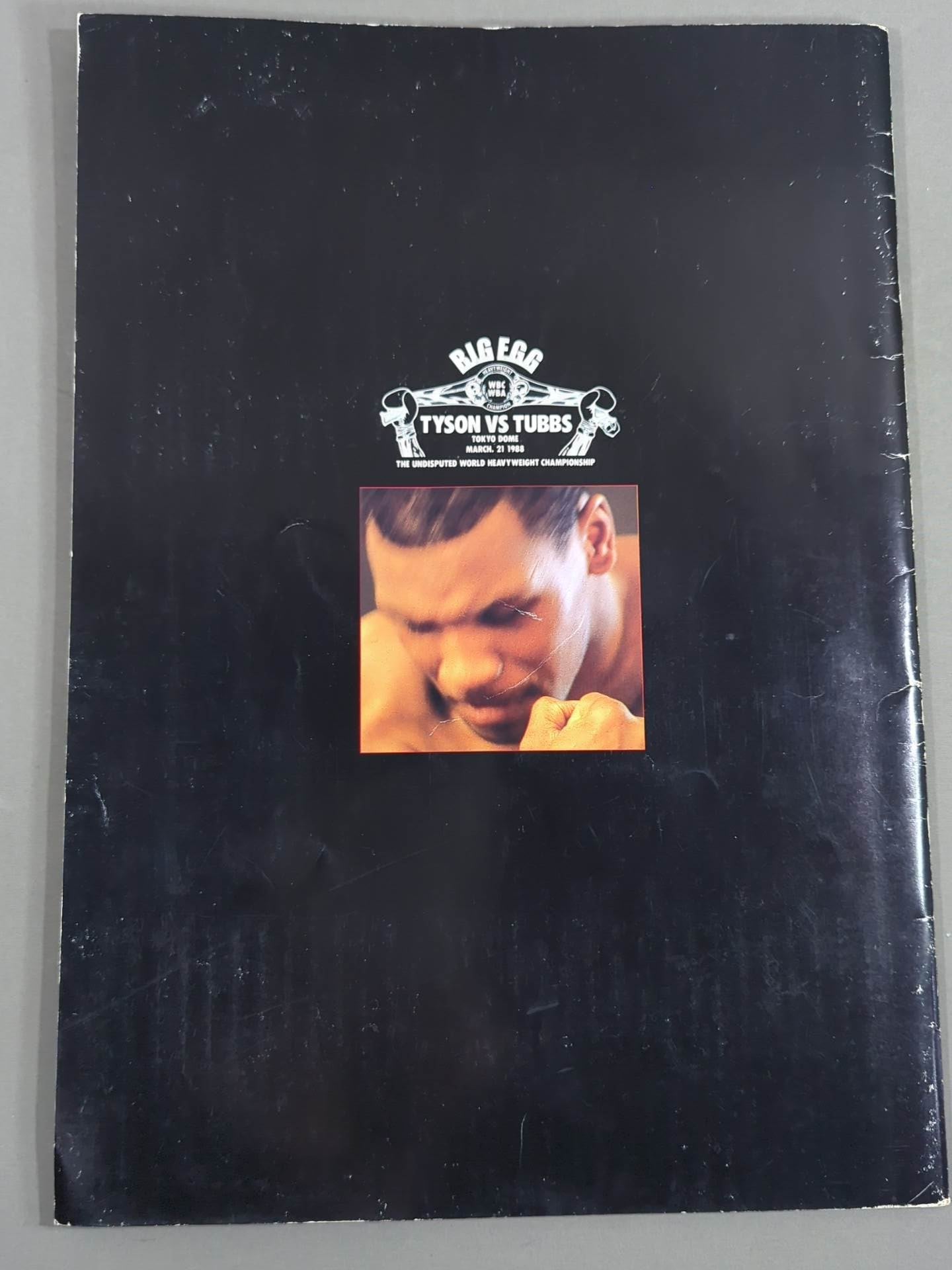 ★統一世界ヘビー級タイトルマッチ★ タイソンvsタッブス