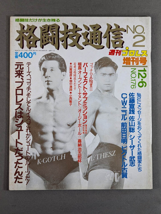 格闘技通信2(週刊プロレス176)