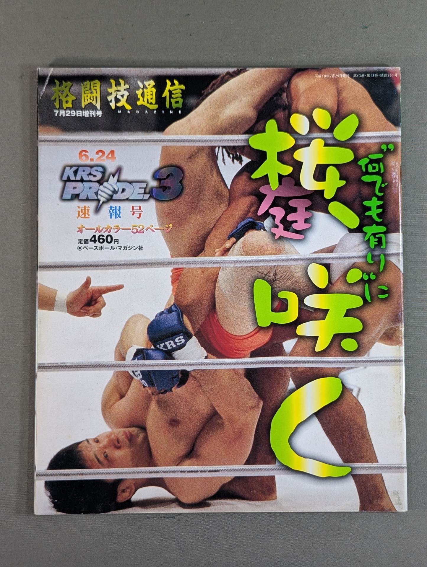 Martial Arts Newsletter Supplement 261