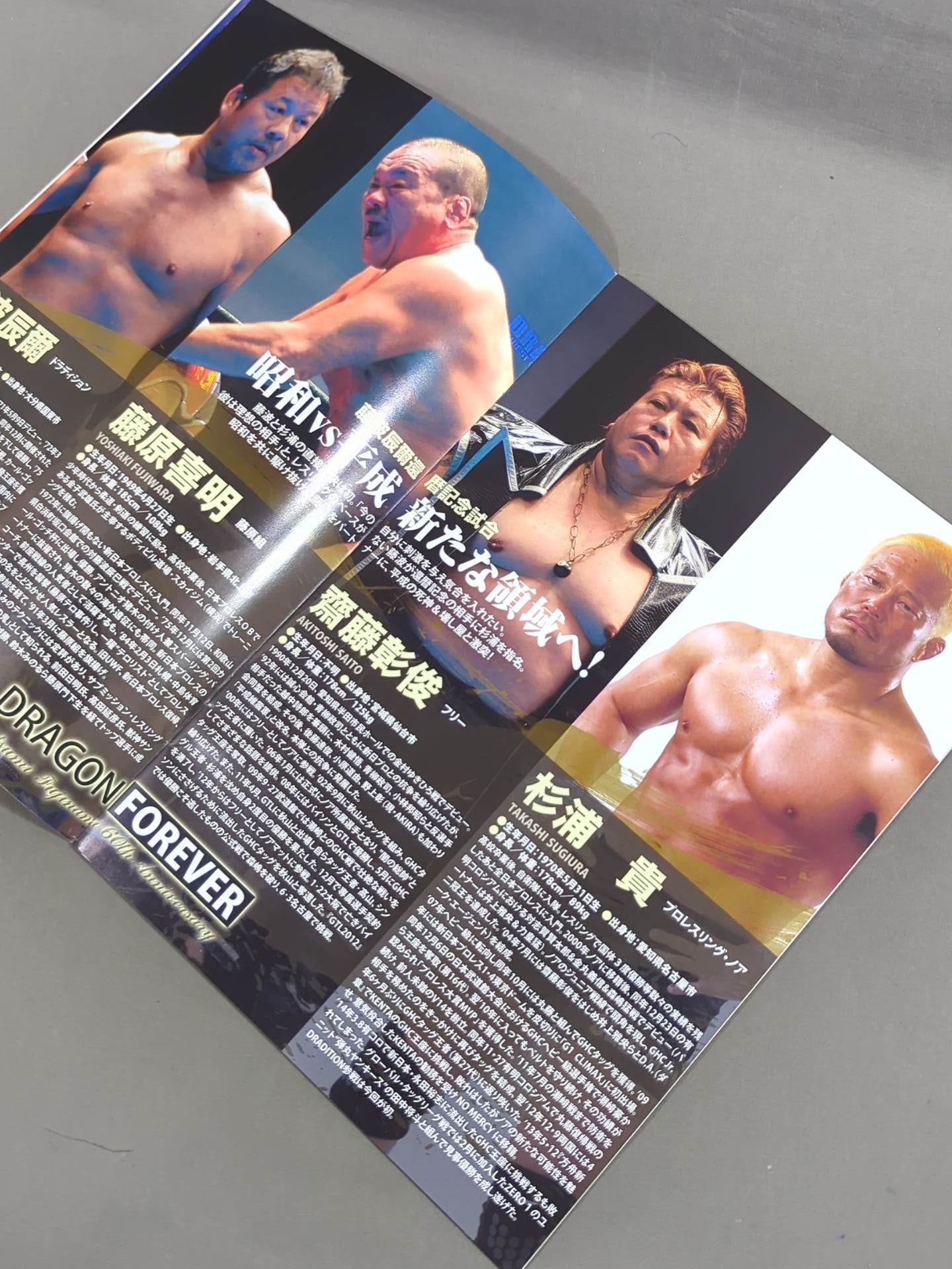 ドラディション / 藤波辰爾 還暦記念興行 DRAGON FOREVER