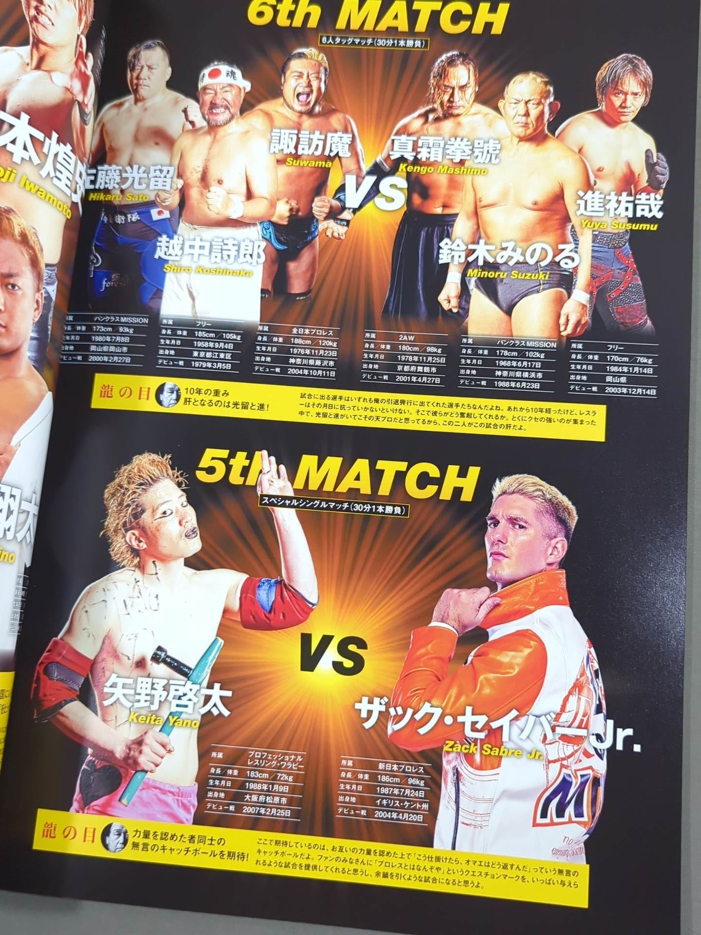 天龍源一郎 引退10周年記念興行 ～革命飛翔～