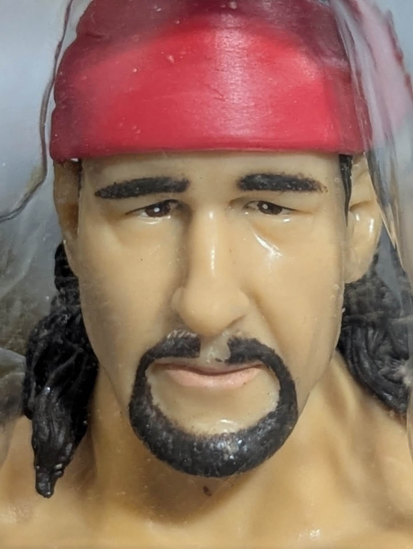 Terry Funk (Red Bandana)