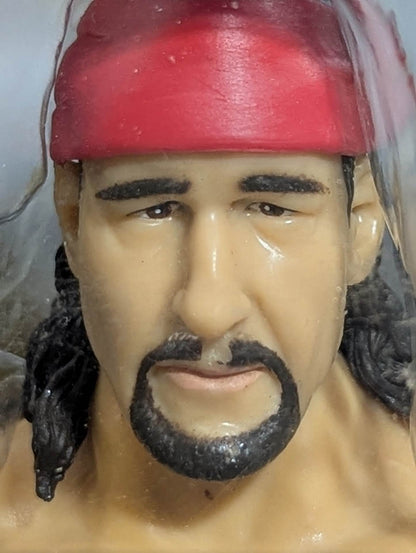 Terry Funk (Red Bandana)