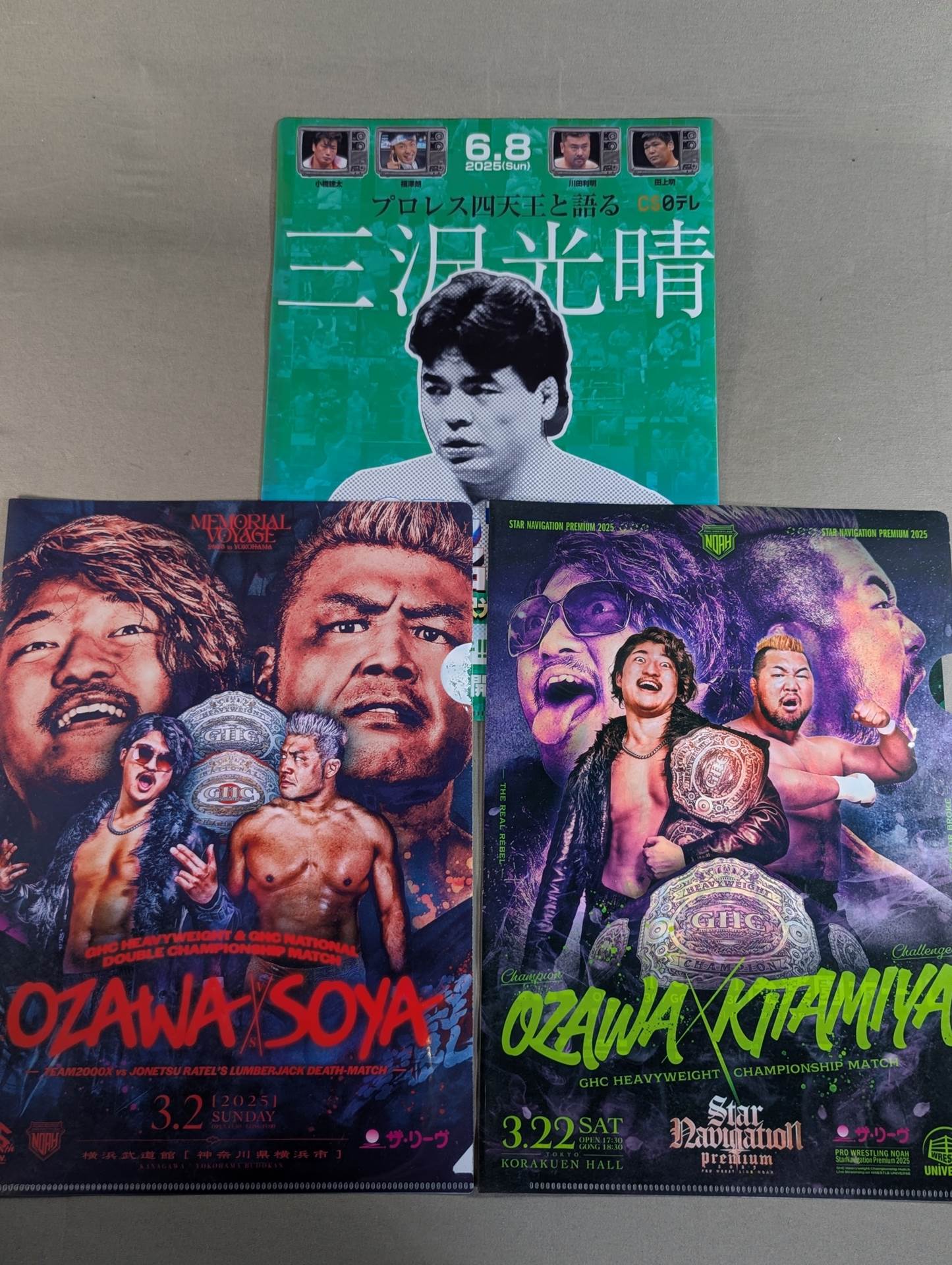 プロレスリングNOAH クリアファイルセット⑮
