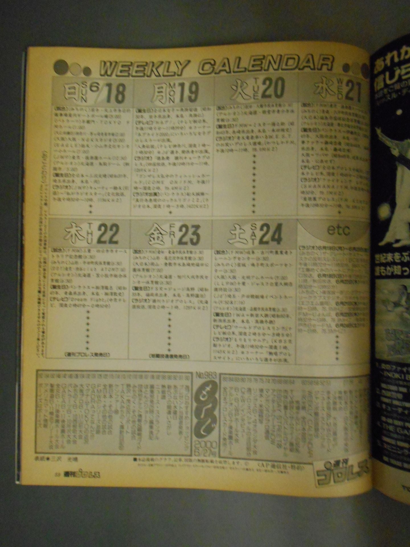 Weekly Pro Wrestling 983