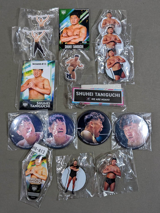 ★ Last Wyvern ★ Shuhei Taniguchi Accessory Set