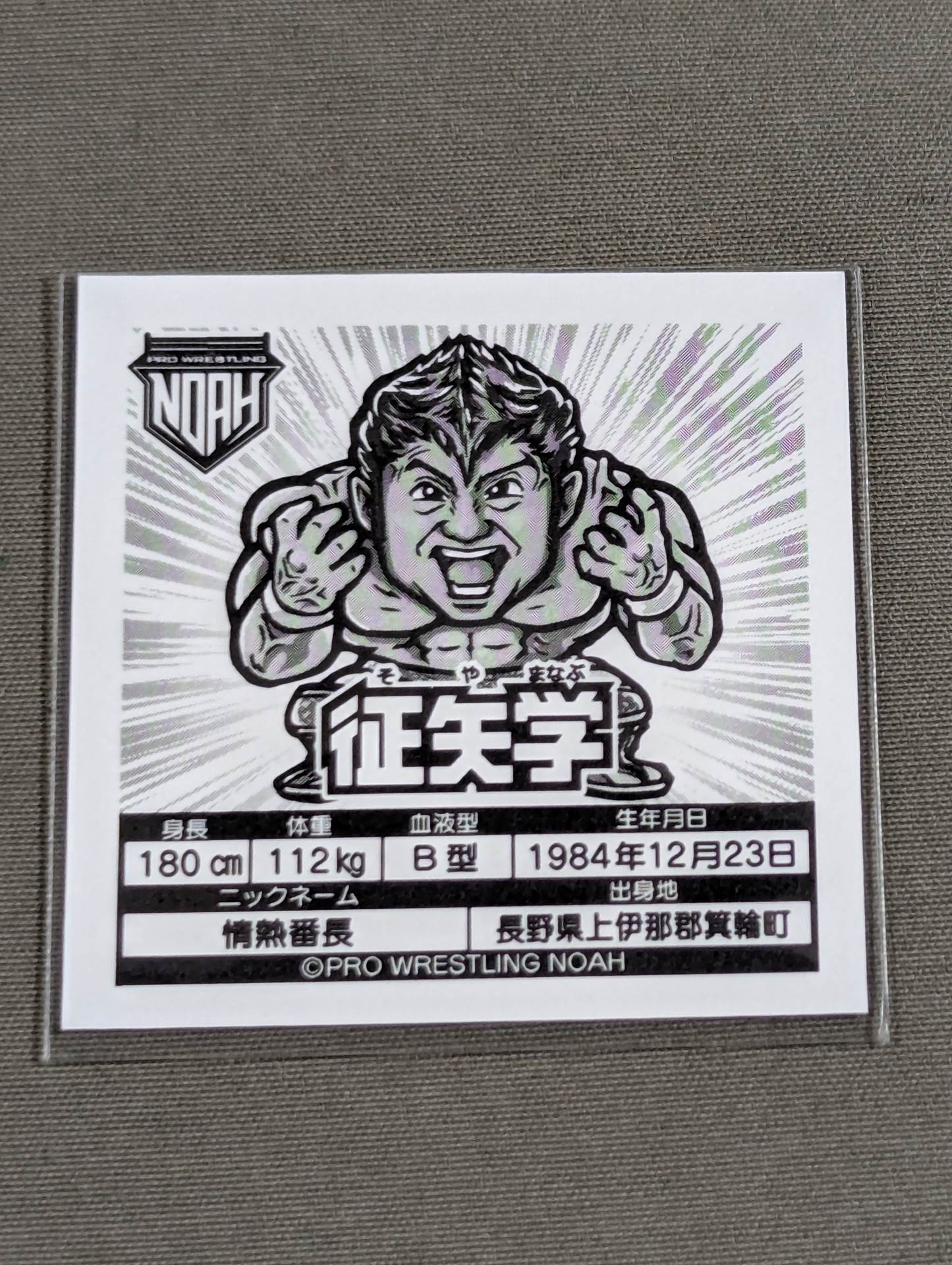 Manabu Soya  NOAH Prism Sticker Collection