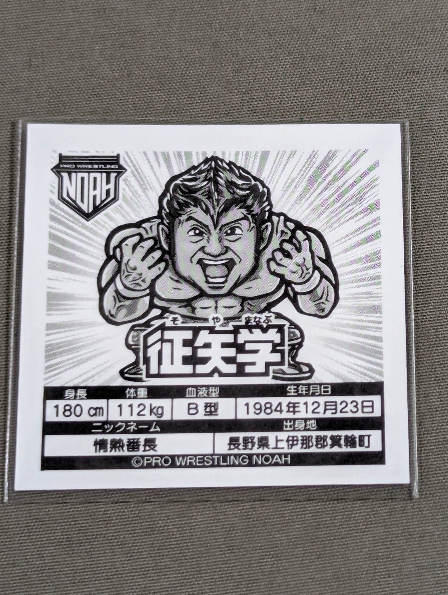 Manabu Soya  NOAH Prism Sticker Collection